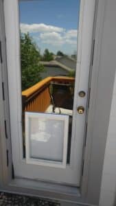 Patio Doors and Dog Doors